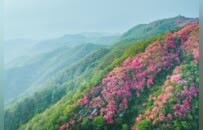 现在的年轻人，在上班和上学之间选择了上山